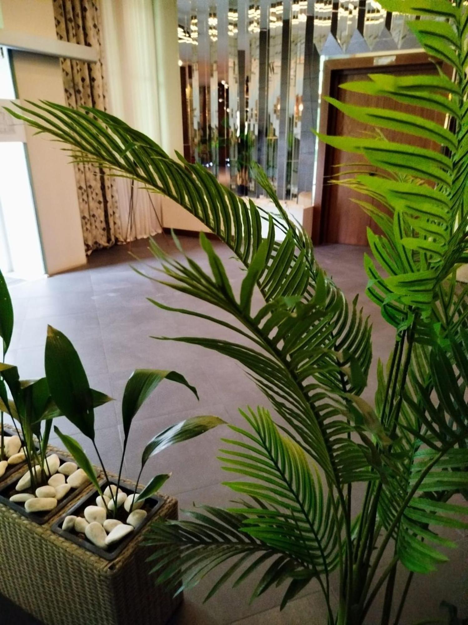 טביליסי Green Tower Hotel מראה חיצוני תמונה